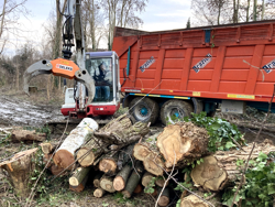 holzzange holzgreifer mit rotator für kräne und mini bagger 4 0 bis 8 0t mod dk 16 gr 30f