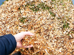 benzin häcksler schredder mit motor mod dk 800 honda