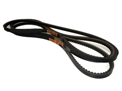3 belts alce