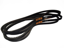 4 belts bison