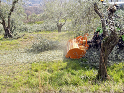 adjustable sideshift mower for tractors shredder mulcher mod gepard 190
