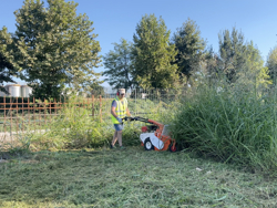 flail mower smart 1000