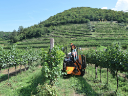 hydraulische armmaaier klepelmaaier met verlengarm voor tractoren mod airone 60