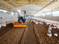 grondfrees voor het hakken en mengen van het strooisel van pluimveebedrijven en koeienstallen pavo 120