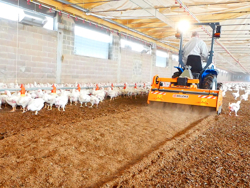 grondfrees voor het hakken en mengen van het strooisel van pluimveebedrijven en koeienstallen pavo 140