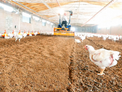 grondfrees voor het hakken en mengen van het strooisel van pluimveebedrijven en koeienstallen pavo 160