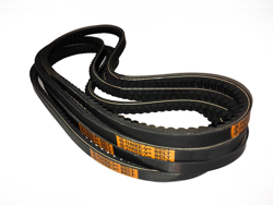 TODO SLUG ARTICOLO 11