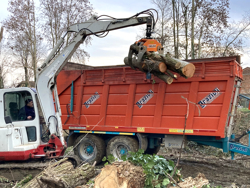 houtgrijper houtklem grijper met rotator voor kranen en minigravers van 4 0 bis 8 0t mod dk 16 gr 30f