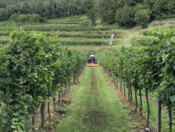 klepelmaaier voor tractoren 140 cm met hamerklepels mod lince 140