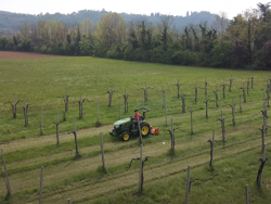 klepelmaaier 120 cm met zijdelingse verschuiving lichte uitvoering mod.  lince sp120