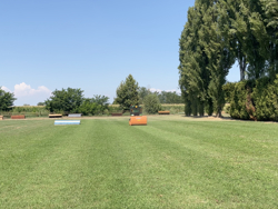 klepelmaaier met opvangbak voor sportvelden of wijngaarden