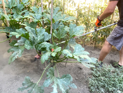 universele frees voor kantensnijder 4 messen