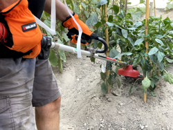 universele frees voor kantensnijder 4 messen