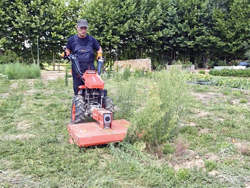 tweewiel tractor eenasser multimachine loncin benzinemotor