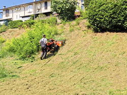 tweewiel tractor eenasser multimachine kama motor zeus ltr