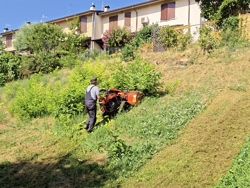 tweewiel tractor eenasser multimachine kama motor zeus ltr